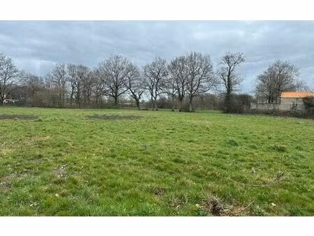 terrain saint-étienne-de-mer-morte m² t- à vendre  77 000 €