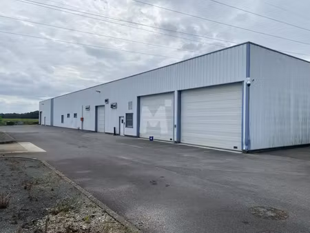 vente local d'activités verneuil l etang 77390