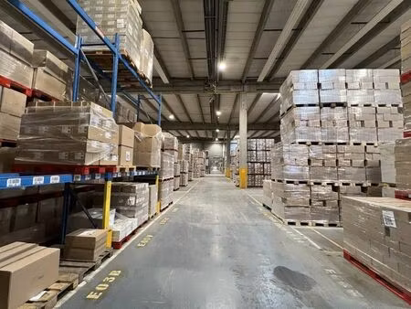 entrepôts (6 270 m² - 15 370 m²) à louer à termonde