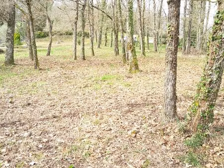 terrain 1740 m2 dont 924 m2 constructibles