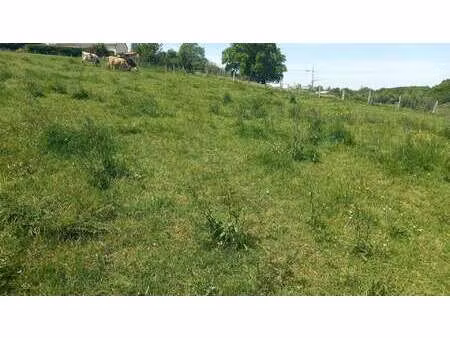 vente terrain à saint-georges-des-groseillers (61100) : à vendre / 1688m² saint-georges-de