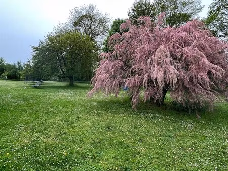 vente terrain 1991m2 bazancourt 51110 - 160000 € - surface privée