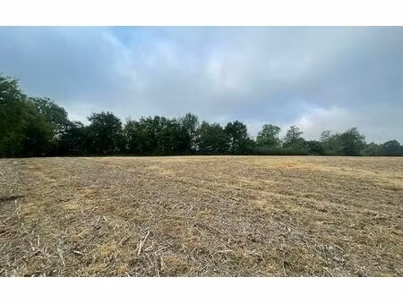 terrain toujouse m² t- à vendre  20 000 €