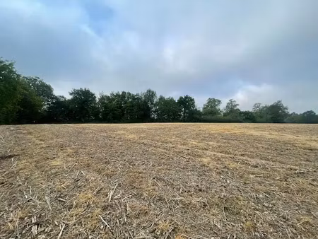 vente terrain 2500 m² à toujouse (32240)  20 000 €