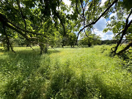 beau terrain constructible avec vue dégagée ! à moins de 10 min de goudargues