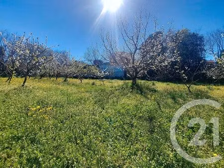 terrain à vendre - 1027 m2 - ceret - 66 - languedoc-roussillon