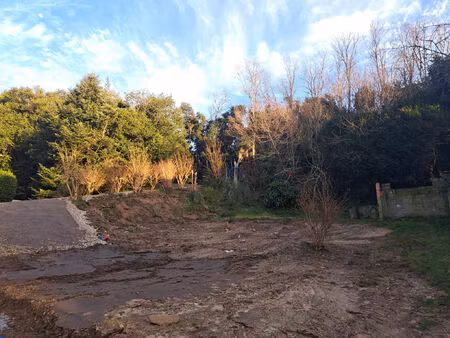 vente terrain 560 m² ondres (40440)