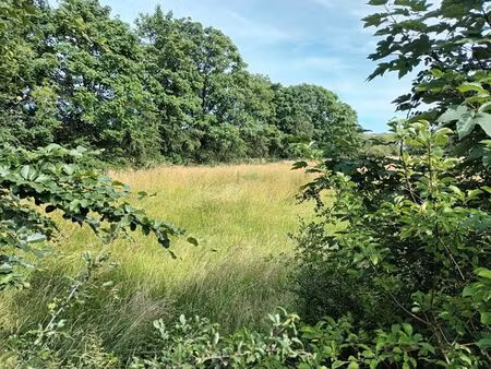 superbe lotissement de 4 lots