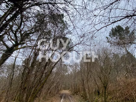 terrain forestier de 13 hectares