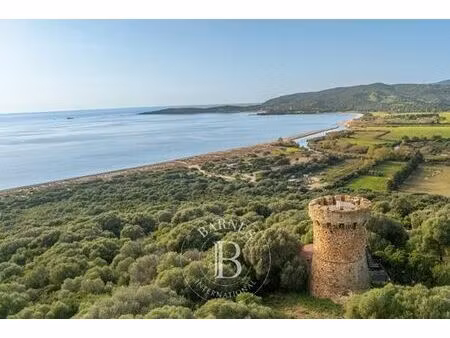 villa de luxe de 3 chambres en location olmeto  corse