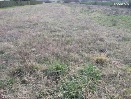 terrain 3790 m² billy