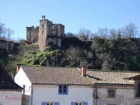 vente maison de village laguepie  180m² 9 pièces 198 000€ tarn-et-garonne