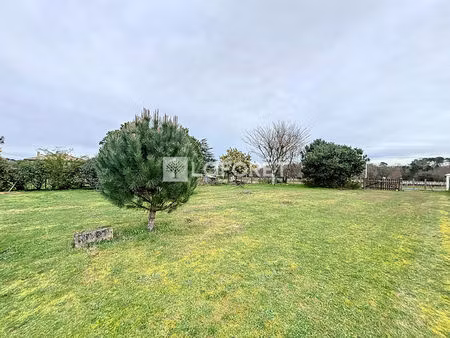 terrain près de berson à vendre