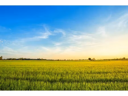 vente terrain 1000 m² à anteuil (25340)  61 250 €