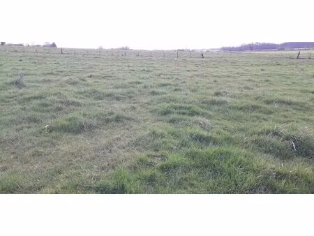 baisse de prix!! beau terrain constructible. villers le sec 51250