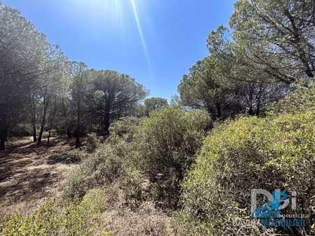 terrain agricole de 12 300 m2