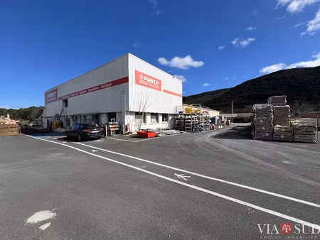 vente locaux professionnels 2276 m² à bédarieux (34600)  367 500 €