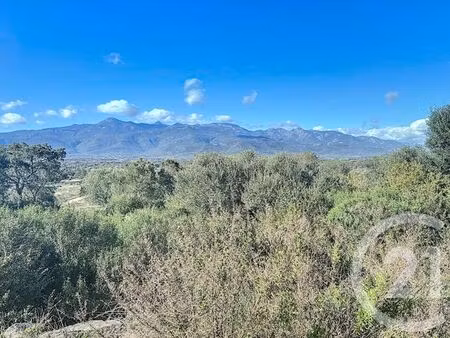 terrain à vendre - 875 m2 - porto vecchio - 201 - corse
