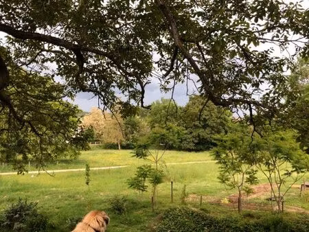 terrain constructible