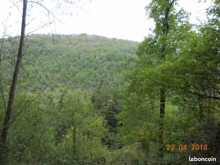 terrain bord de riviere