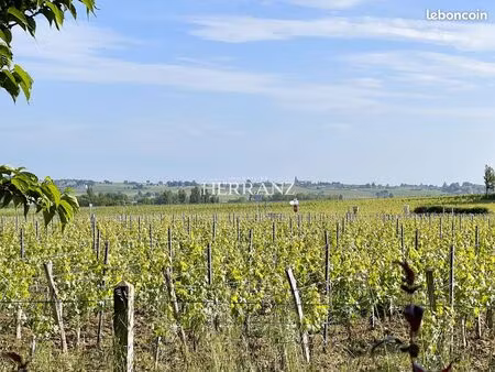 terrain 3905 m² pomerol