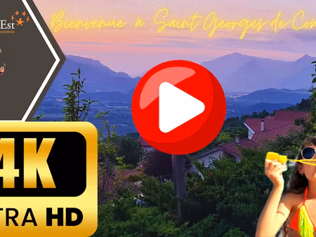 vente maison 10 pièces 199 m² à saint-georges-de-commiers (38450)  830 000 €