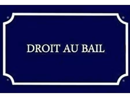 vente commerce 1 pièce 30 m² balaruc-les-bains (34540)