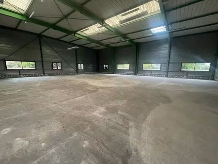 vente entrepôt / local d'activités combs la ville 1 180 m²