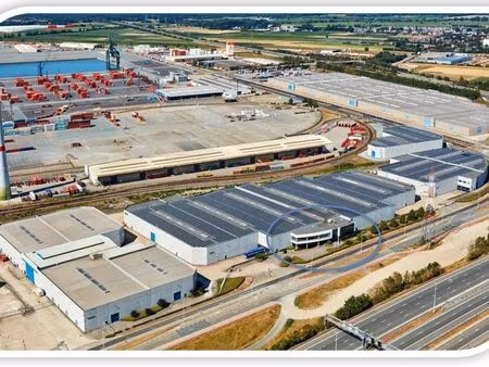 bien professionnel à louer à lillo € 7.000 (khybs) - mertens vastgoed | zimmo