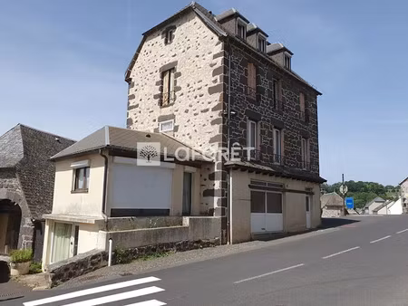 vente locaux professionnels 9 pièces 180 m² à pierrefort (15230)  60 000 €