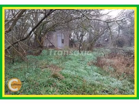 vente maison 1 pièce avord (18520)