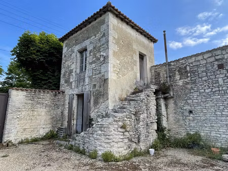 vente maison 14 pièces 308m2 mauzé-sur-le-mignon 79210 - 338500 € - surface privée