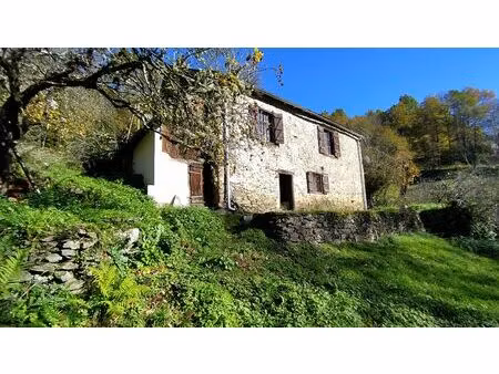 maison typique  grange et terrains de 2 700 m²