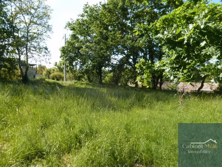 terrain baron 628 m2