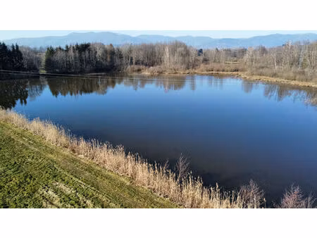 vente terrain 39191 m² sermamagny (90300)