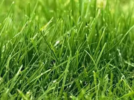 vente terrain à hénon (22150) : à vendre / 700m² hénon