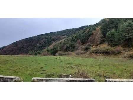 13 hectares de terrains