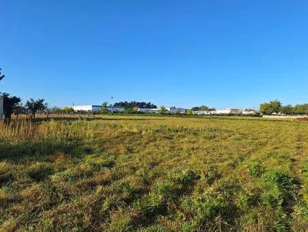 vente terrain à mauron (56430) : à vendre / 7154m² mauron