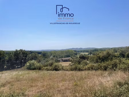 vente terrain 2982m2 parisot 82160 - 30000 € - surface privée