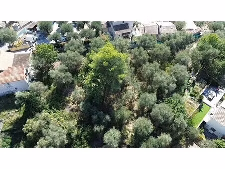 rare ! terrain la grave de peille