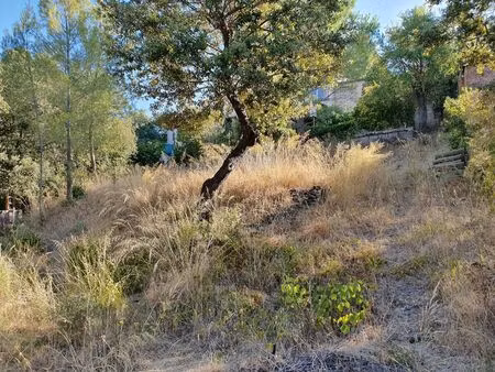 vente terrain pierrefeu-du-var 83390 - 191000 € - surface privée