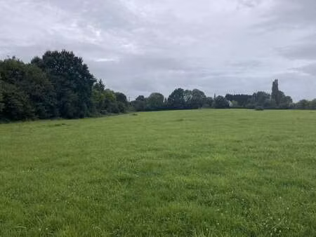 vente terrain à saint-désir (14100) : à vendre / 900m² saint-désir