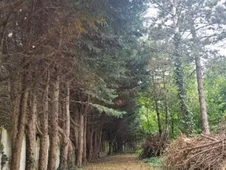 vente terrain 1000 m² à saint-josse (62170)  258 900 €