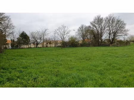 vente terrain saint-saturnin-du-bois 17700 - 37500 € - surface privée