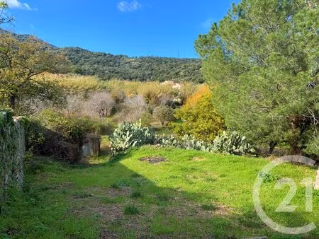 terrain à vendre - 3370 m2 - santa reparata di balagna - 202 - corse