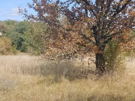 vente terrain 2425 m² aujols (46090)