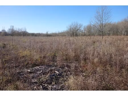 terrain viabilisé à vendre de 800 m2 proche de blaye