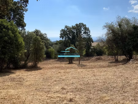 cervione  terrain de 2580 m2 constructible avec ce