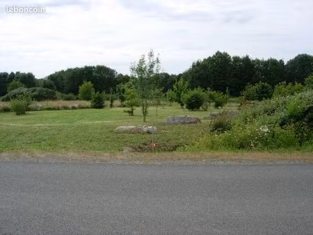 terrain constructible