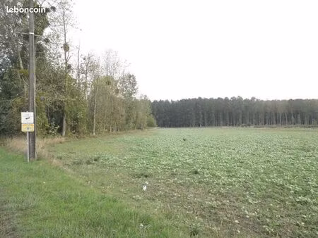 terrain 5476 m² fismes